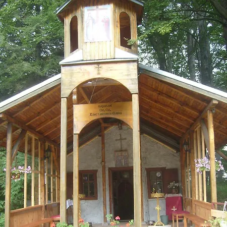 Orman Evi Toni's Mount *