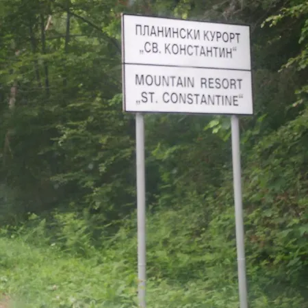 Toni's Mount