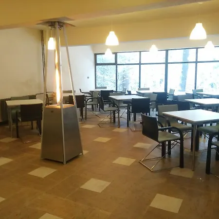 Orman Evi Toni's Mount *