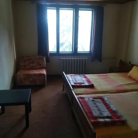 Orman Evi Toni's Mount *