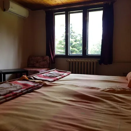 Orman Evi Toni's Mount